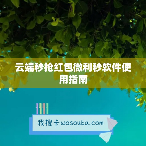 云端秒抢红包微利秒软件使用指南