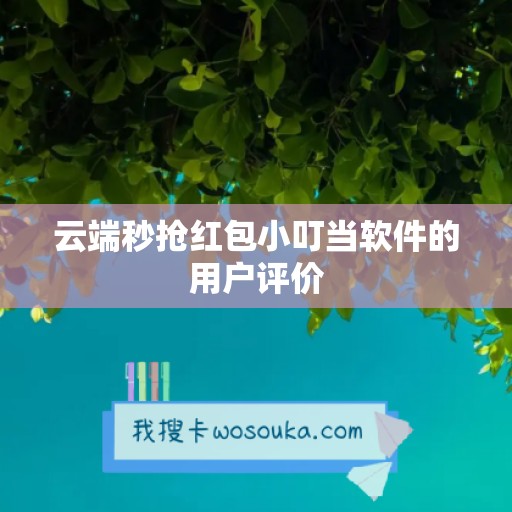 云端秒抢红包小叮当软件的用户评价