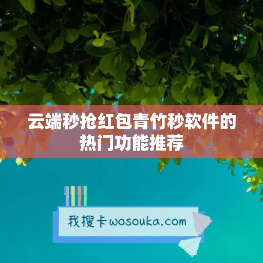 云端秒抢红包青竹秒软件的热门功能推荐