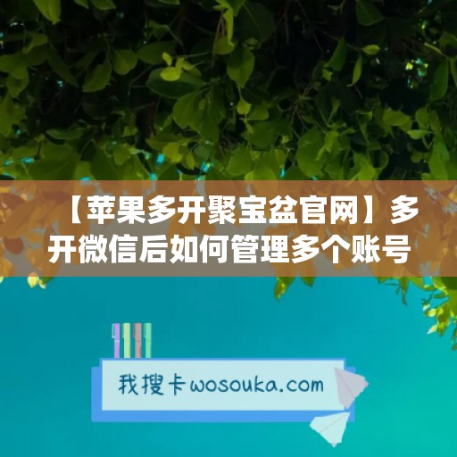 【苹果多开聚宝盆官网】多开微信后如何管理多个账号？(苹果微信多开宝怎么用)