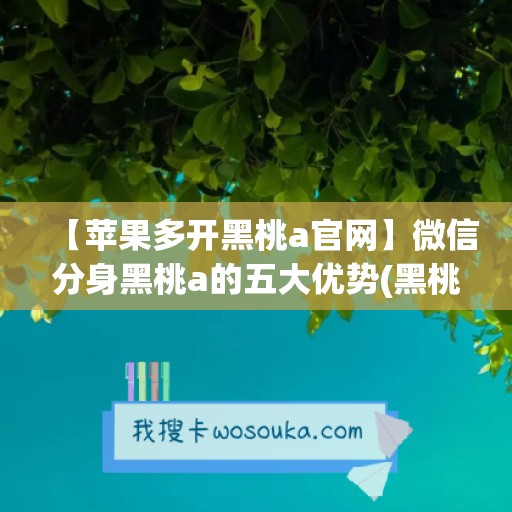 【苹果多开黑桃a官网】微信分身黑桃a的五大优势(黑桃a有多少种)