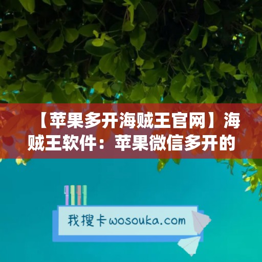 【苹果多开海贼王官网】海贼王软件：苹果微信多开的新选择(苹果手机玩海贼王能用加速器吗)