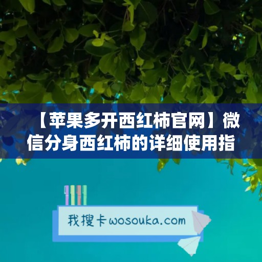 【苹果多开西红柿官网】微信分身西红柿的详细使用指南(西红柿ios)