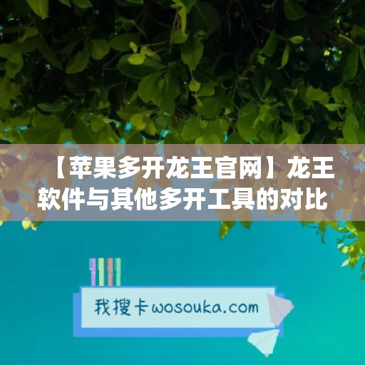 【苹果多开龙王官网】龙王软件与其他多开工具的对比(龙王单机下载)