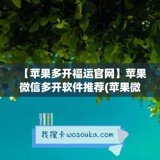 【苹果多开福运官网】苹果微信多开软件推荐(苹果微信多开宝怎么用)