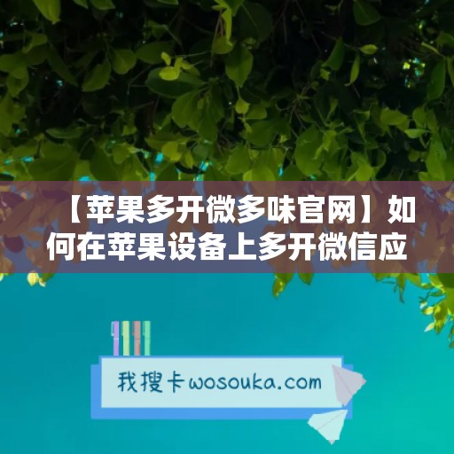 【苹果多开微多味官网】如何在苹果设备上多开微信应用