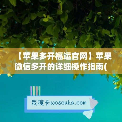 【苹果多开福运官网】苹果微信多开的详细操作指南(苹果微信多开tf)