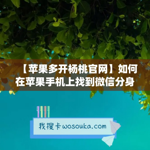 【苹果多开杨桃官网】如何在苹果手机上找到微信分身功能？(iphone微信开分身)