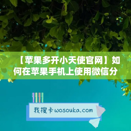 【苹果多开小天使官网】如何在苹果手机上使用微信分身功能(ios微信分身软件小天下)