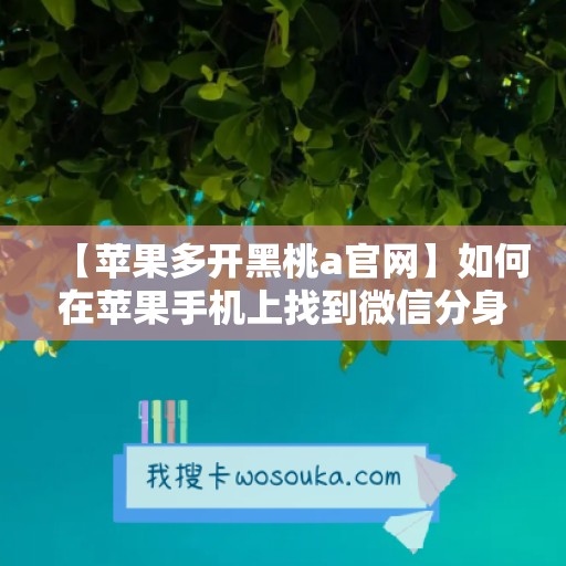 【苹果多开黑桃a官网】如何在苹果手机上找到微信分身功能？