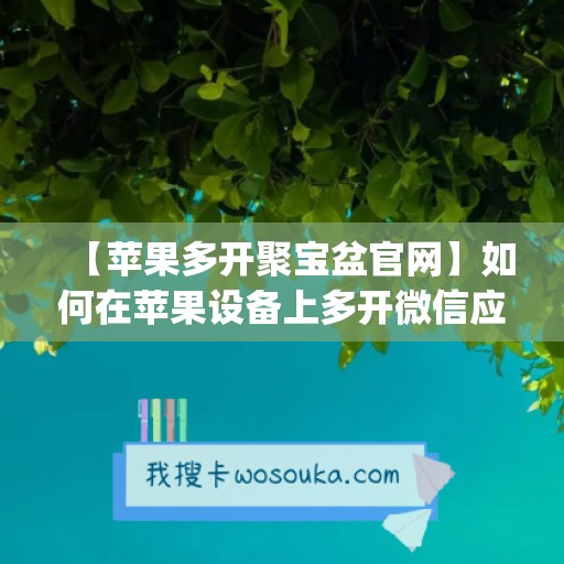 【苹果多开聚宝盆官网】如何在苹果设备上多开微信应用(苹果多开助手怎么用)