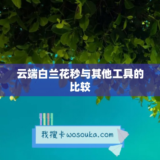 云端白兰花秒与其他工具的比较