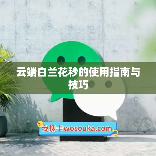 云端白兰花秒的使用指南与技巧