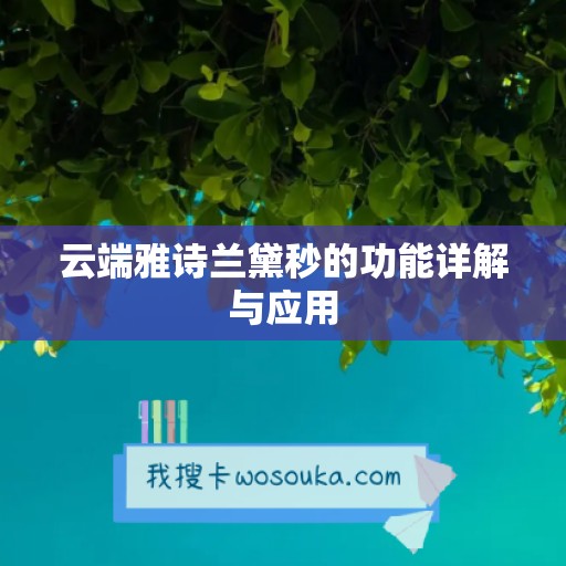 云端雅诗兰黛秒的功能详解与应用