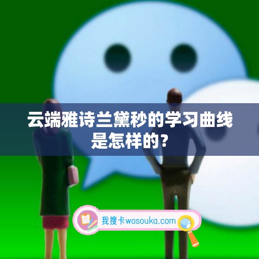 云端雅诗兰黛秒的学习曲线是怎样的？