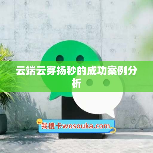 云端云穿扬秒的成功案例分析