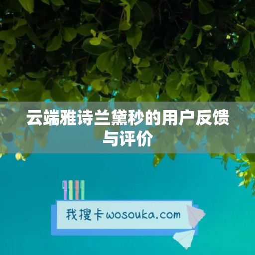 云端雅诗兰黛秒的用户反馈与评价