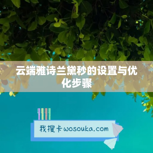 云端雅诗兰黛秒的设置与优化步骤