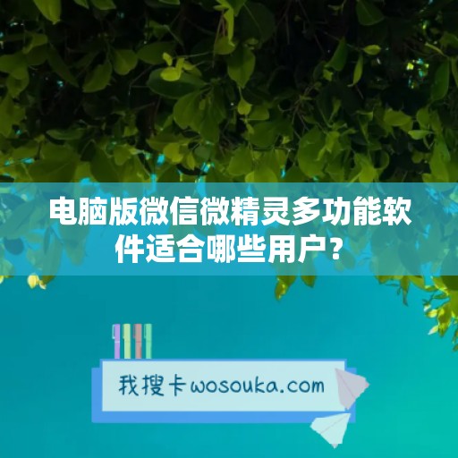 电脑版微信微精灵多功能软件适合哪些用户？