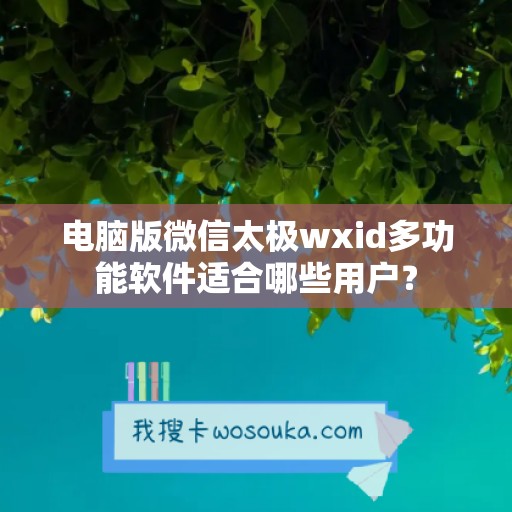 电脑版微信太极wxid多功能软件适合哪些用户？