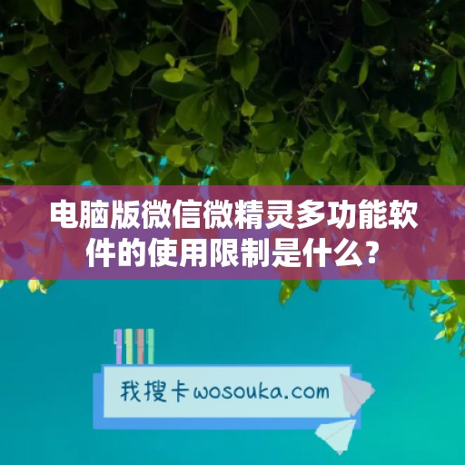 电脑版微信微精灵多功能软件的使用限制是什么？