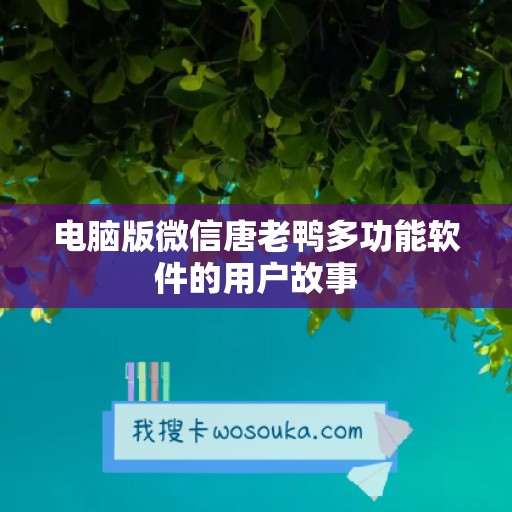 电脑版微信唐老鸭多功能软件的用户故事