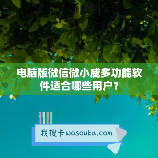 电脑版微信微小威多功能软件适合哪些用户？