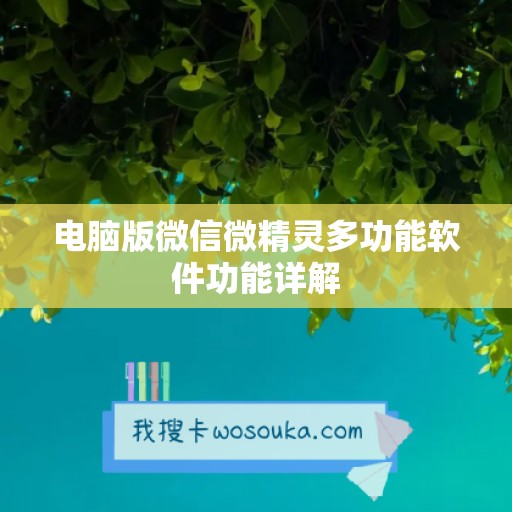 电脑版微信微精灵多功能软件功能详解