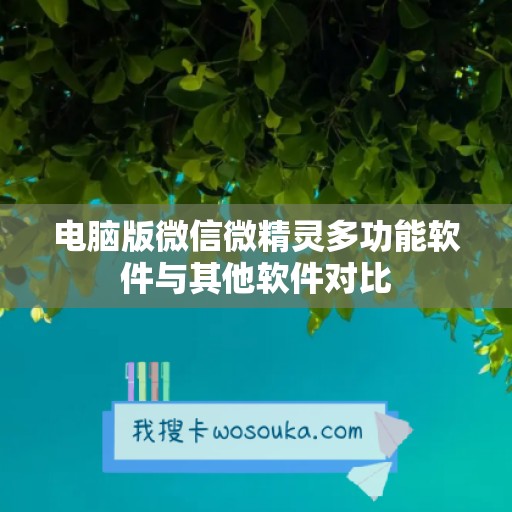 电脑版微信微精灵多功能软件与其他软件对比