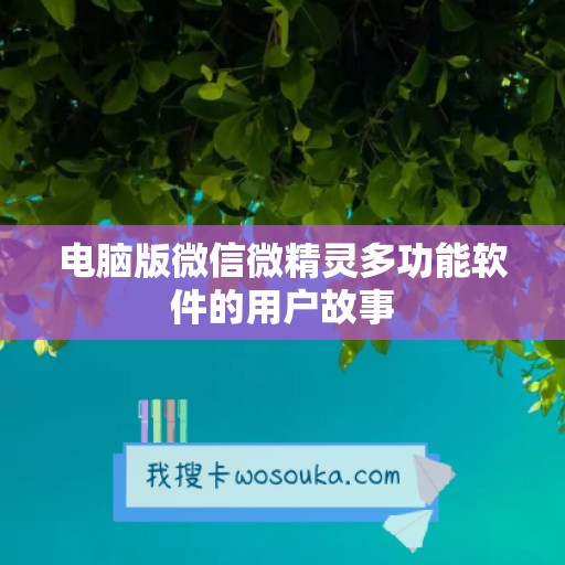 电脑版微信微精灵多功能软件的用户故事