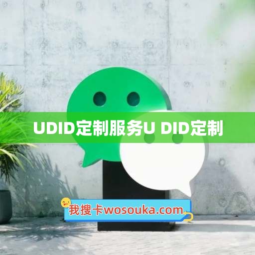 UDID定制服务U DID定制