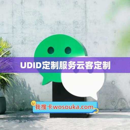 UDID定制服务云客定制