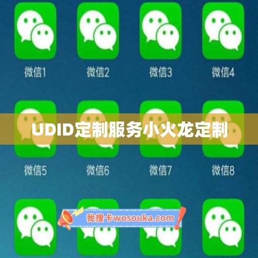 UDID定制服务小火龙定制