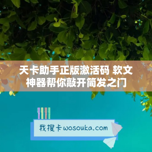 天卡助手正版激活码 软文神器帮你敲开简发之门