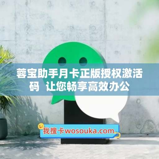 蓉宝助手月卡正版授权激活码  让您畅享高效办公