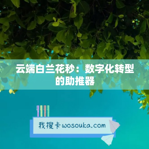 云端白兰花秒：数字化转型的助推器