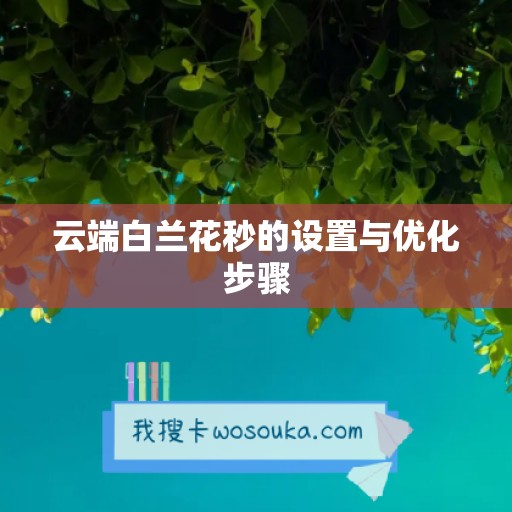 云端白兰花秒的设置与优化步骤