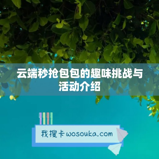 云端秒抢包包的趣味挑战与活动介绍