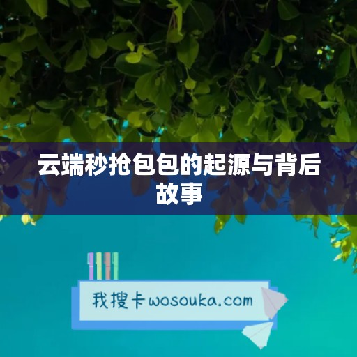 云端秒抢包包的起源与背后故事