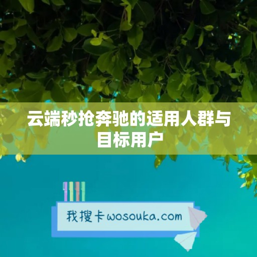 云端秒抢奔驰的适用人群与目标用户