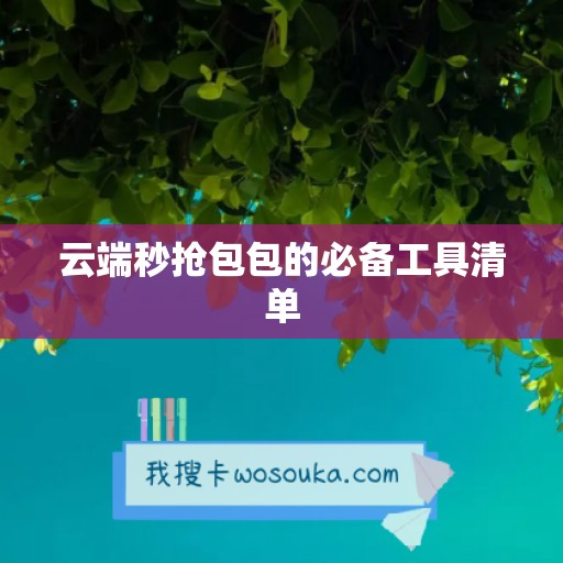 云端秒抢包包的必备工具清单