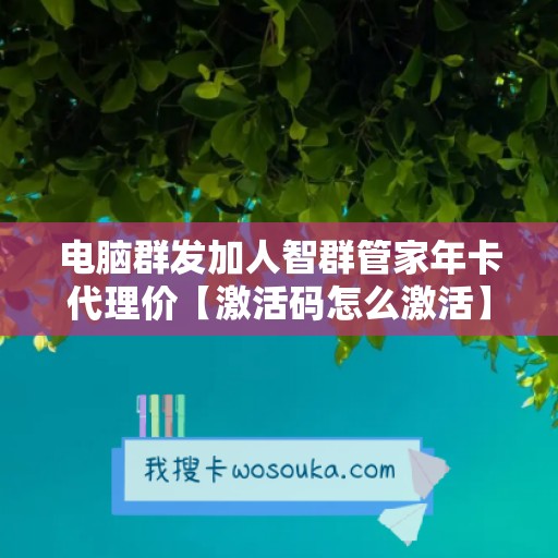 电脑群发加人智群管家年卡代理价【激活码怎么激活】