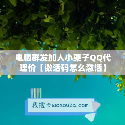 电脑群发加人小栗子QQ代理价【激活码怎么激活】