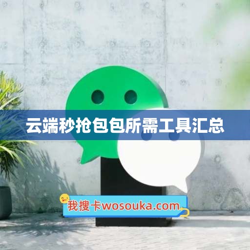 云端秒抢包包所需工具汇总