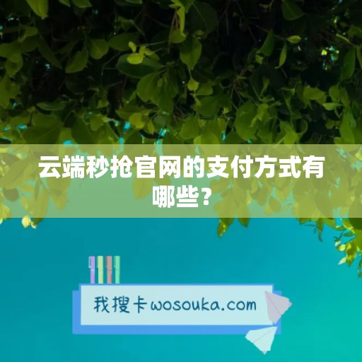 云端秒抢官网的支付方式有哪些？