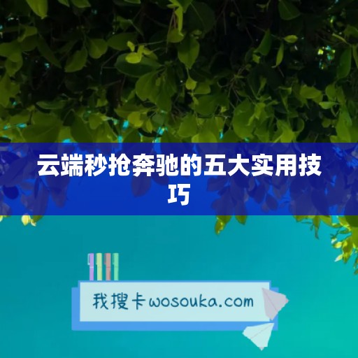 云端秒抢奔驰的五大实用技巧