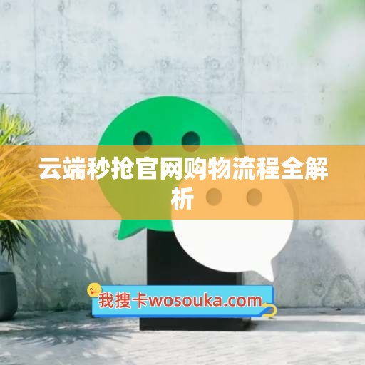 云端秒抢官网购物流程全解析