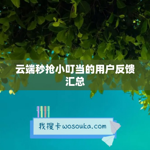 云端秒抢小叮当的用户反馈汇总