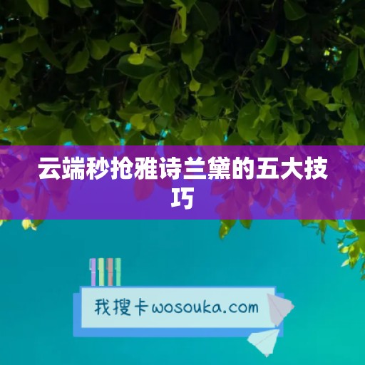 云端秒抢雅诗兰黛的五大技巧