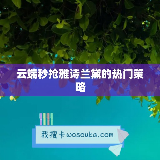 云端秒抢雅诗兰黛的热门策略